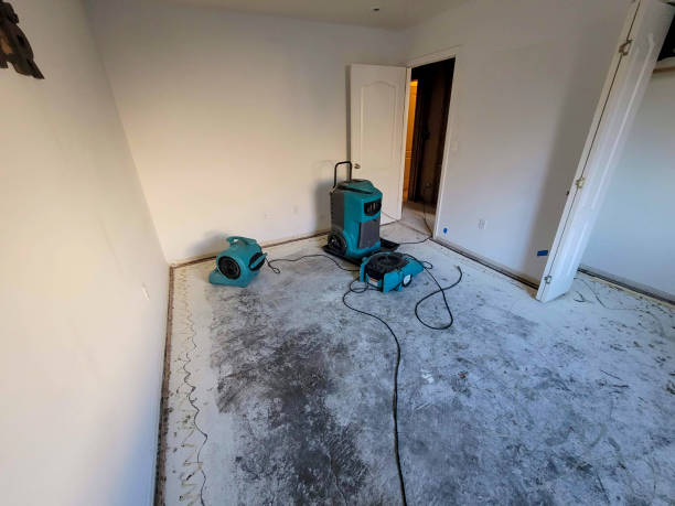 Best Water damage restoration company  in Farmington, UT