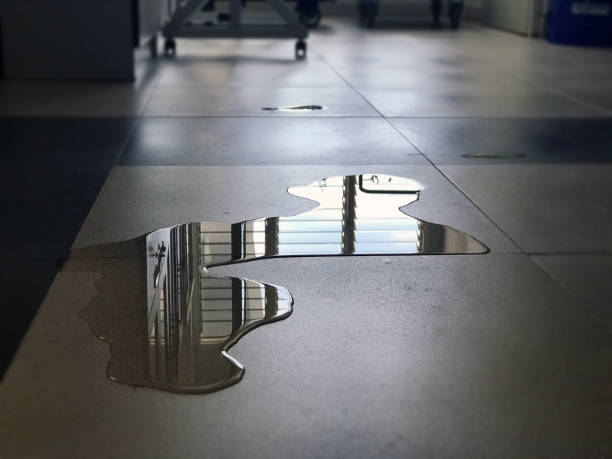 Best Water damage restoration specialists  in Farmington, UT