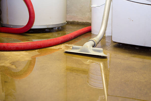  Farmington, UT Water damage restoration Pros