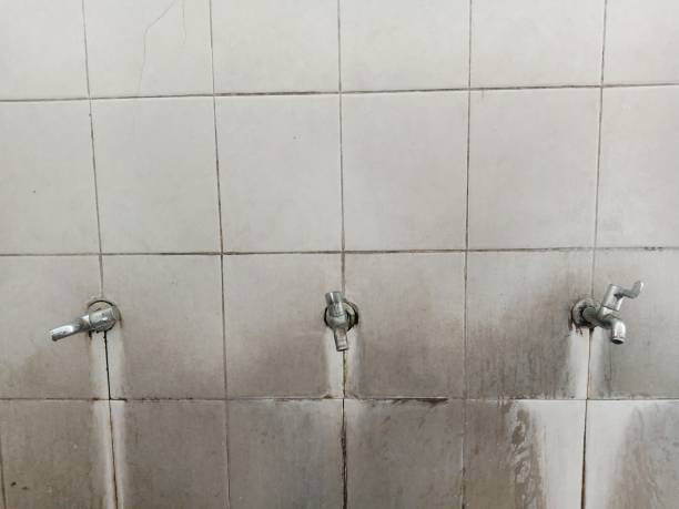 Best Water damage contractors near me  in Farmington, UT