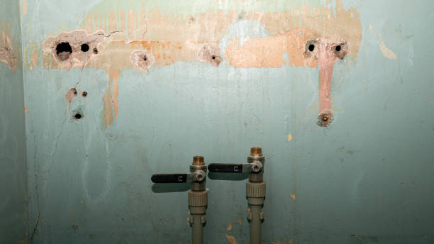 Best 24-hour water damage restoration  in Farmington, UT