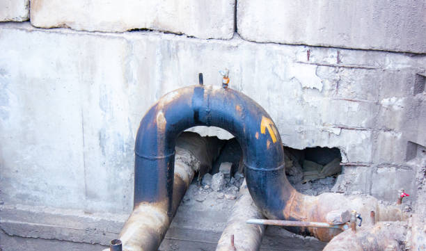 Best Mold removal after water damage  in Farmington, UT