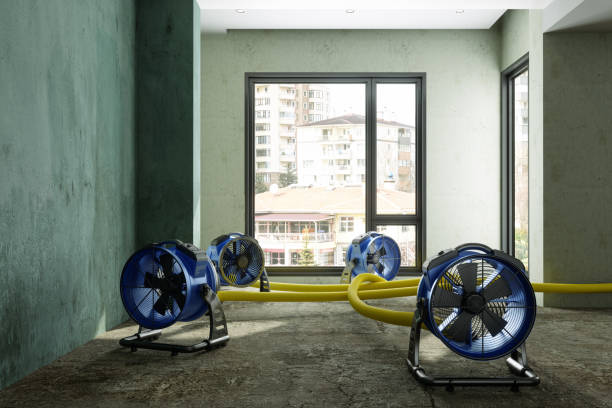 Best Professional water damage repair  in Farmington, UT